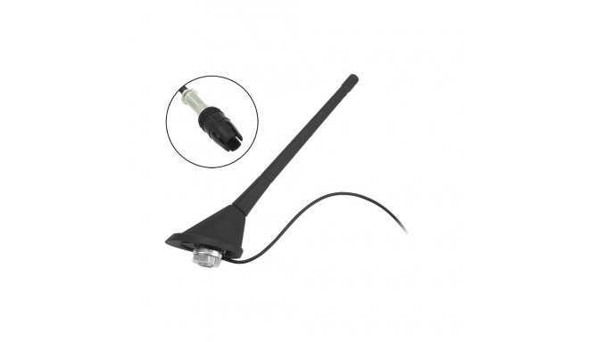 22-670# Autoantenn Fiat Raw (Raku I) jaoks