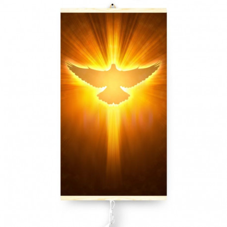 Painduv infrapuna kütteseade 430W TRIO muster 12 tuvi, mõõdud 100x57cm koos regulaatoriga