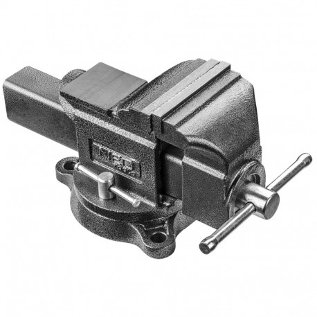 Töökoja kruviklamber 100mm