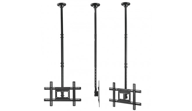 Sufitüüpi telerikinnitus Maclean, max VESA 600x400, 23-100", max 50kg, MC-803