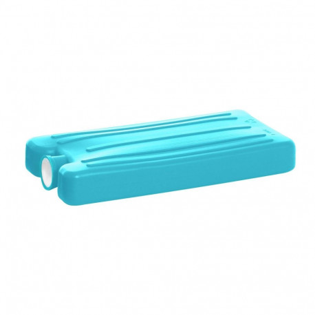 Plast Team 250g matkakülmiku sisetükk