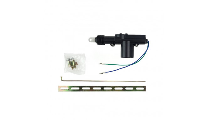 centralluku ajam slave amio-01680