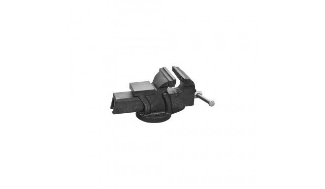 25510 Proline statsionaarne lukksepa kruustangid 100 mm
