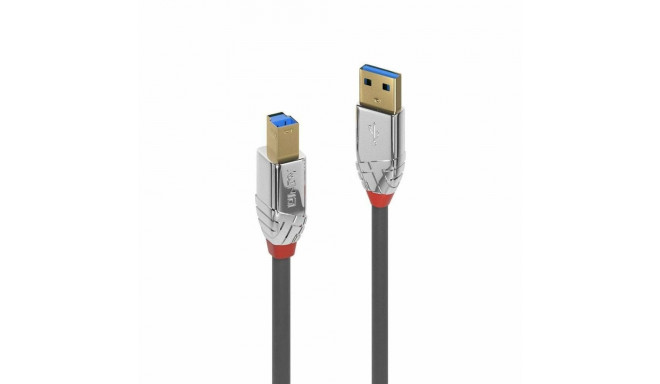 USB A - USB B Kaabel LINDY 36661 Hall 1 m