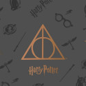 Gultas pārklājs (sega) Harry Potter Deathly Hallows Daudzkrāsains Gulta 150 cm