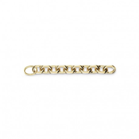 Ladies' Bracelet Guess JUBB02116JWYGS 20 cm