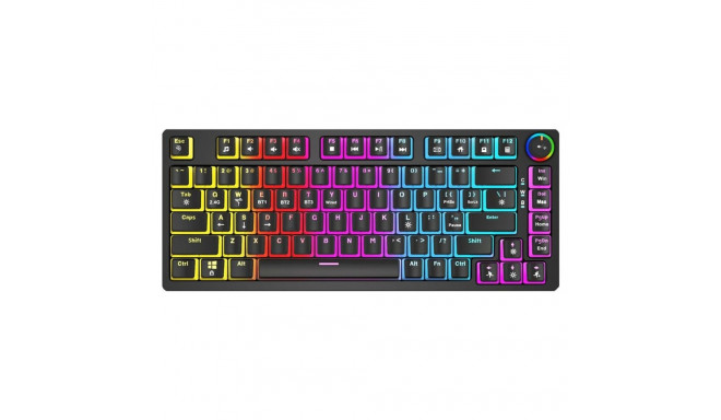 Keyboard Savio PHENIX Red Pro Black QWERTY