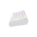 Keyboard Savio WHITEOUT X2 RED Black Qwerty US