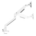 Lauatugi Ekraanile Neomounts DS70-250WH1 17" 35"