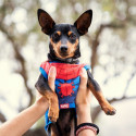 Dog T-shirt Spider-Man Red