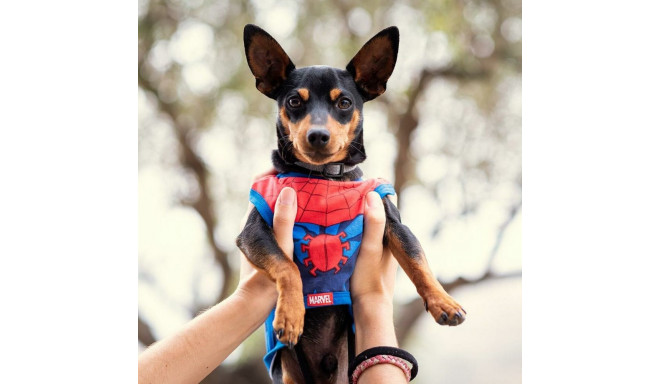 Dog T-shirt Spider-Man Red