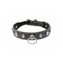 Bondage Collar with Chain XR