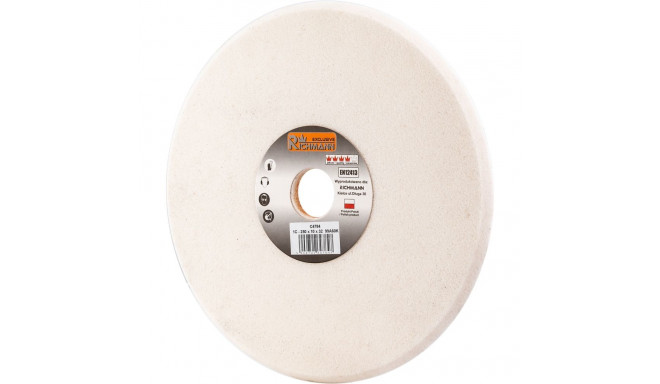 CERAMIC GRINDING DISC FOR SHARPENING 250x10x32 99A60K