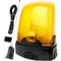 CAME KIARO KLED24 24V (PROMO KIT) lamp with cable and antenna