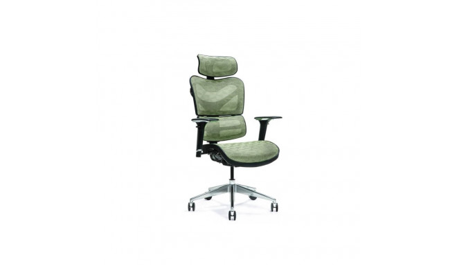 Ergonoomiline kontoritool ERGO 600 roheline