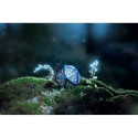 Q-workshop Elvish Dice Set Cobalt And Silver Sp.