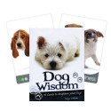 Blue Angel Inspirational Cards Dog Wisdom