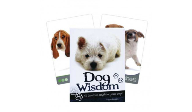 Blue Angel Inspirational Cards Dog Wisdom