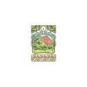Lo Scarabeo Art Nouveau Lenormand Cards