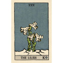 US Games Systems Pixie Astounding Lenormand card tin in box