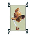 Lo Scarabeo Colosseum Playing Cards Two Decks