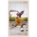 AGM Lenormand De Paris Cards