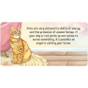 US Games Systems Angel Connections Message Cards