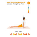 Lo Scarabeo Justasana cards