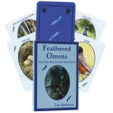 Dragonhawk Publishing Feathered Omens Spiritual Cards