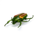 HEX interaktiivne mänguasi Nano Real Bugs 5 pakk