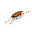 HEX interaktiivne mänguasi Nano Real Bugs 5 pakk