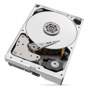 Seagate IronWolf Pro ST10000NT001 internal hard drive 3.5" 10 TB