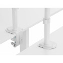 Equip 17&quot;-32&quot; Articulating Dual Monitor Desk Mount Bracket, White