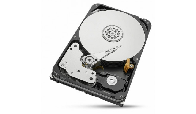 Kõvaketas Seagate ST20000NT001 3,5" 20 TB