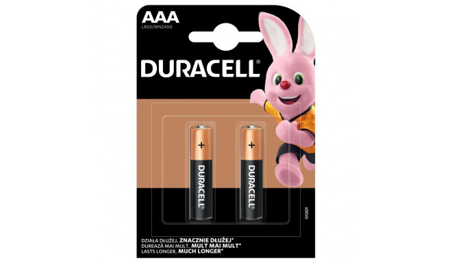 Duracell | Basic MN2400 | AAA | 2 pc(s)