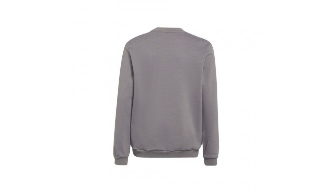 Adidas Entrada 22 Sweat Top Jr H57477 (164CM)