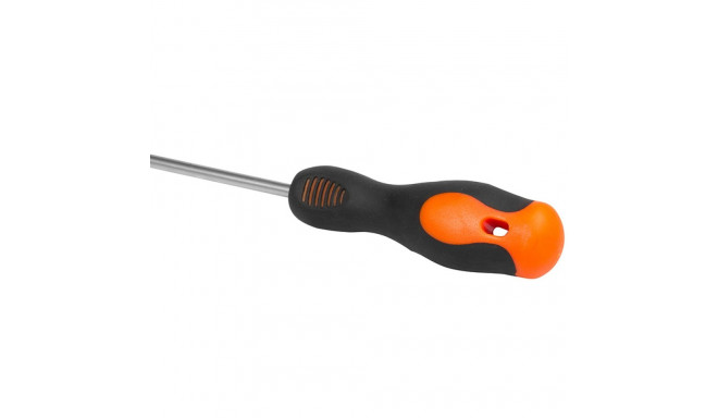 Screwdriver PH2 x 100 mm (+)