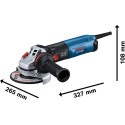 Bosch angle grinder GWS 17-125 Professional (blue/black, 1,700 watts)