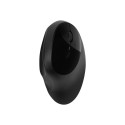 KENSINGTON K75404EU Kensington Pro Fit Ergo Wireless Mouse - Black