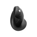 KENSINGTON K75404EU Kensington Pro Fit Ergo Wireless Mouse - Black