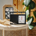 AD 1909 Raadio AM/FM - antenn