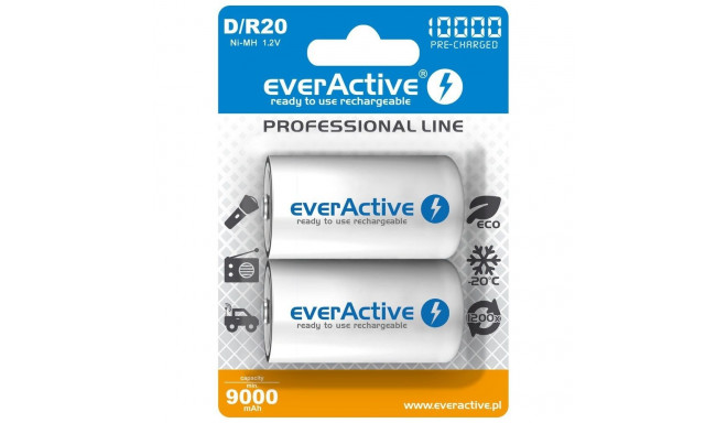laetavad akud everActive R20/D Ni-MH 10000 mAh kasutusvalmis