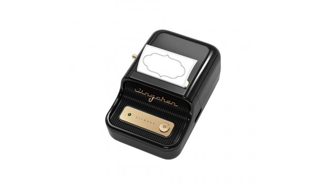 Portable Label Printer Niimbot B21 (Black)