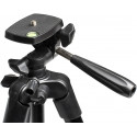 D-Fruit tripod 204 + phone adapter M