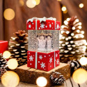 Christmas Snow Globe Lantern GIFT FLX-3 Forever Light