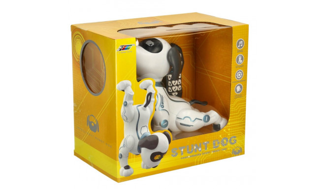 RC robotkoer hüppab jalutuskäike