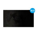 PRIVACY FILTER NATEC OWL 17.3" 16:9