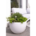 8 seasons Shining Curvy Pot XM Solar