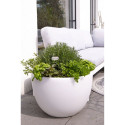 8 seasons Shining Curvy Pot XM