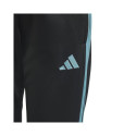 Adidas Tiro 23 Club Training Jr IC1588 pants (164cm)